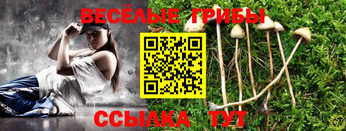 Норильск  Галлюциногенные грибы Psilocybine cubensis  Вход с VPN  Псилоцибиновые грибы MAGIC MUSHROOMS 