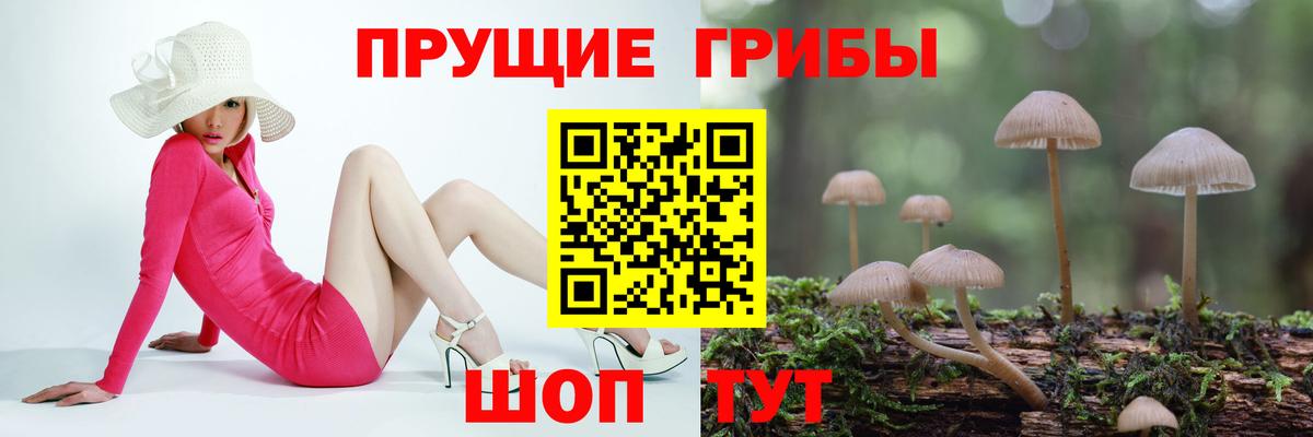 Псилоцибиновые грибы Psilocybine cubensis Норильск
